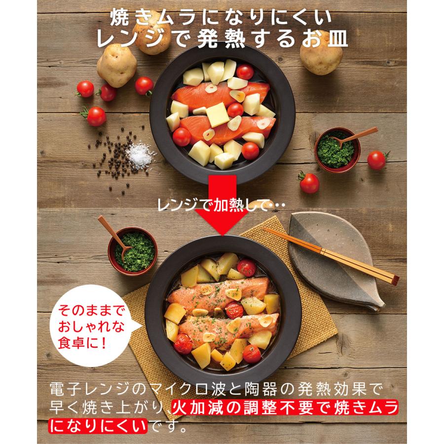レンジ用 プレート おかず＆鉄板焼風プレート 2枚組　⑥ 和平フレイズ マジカリーノ レンジ で発熱する 皿 24cm 2枚 セット RE