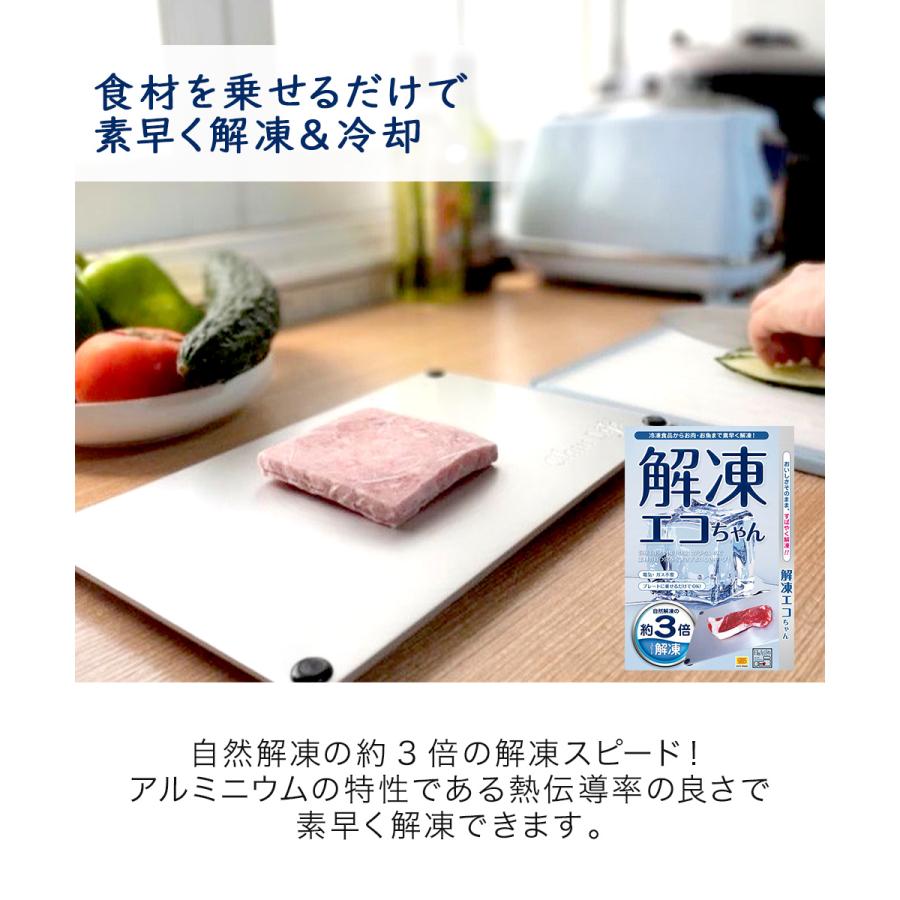 スピード 解凍プレート 解凍エコちゃん 日本製 | 解凍 冷凍食品 アルミ