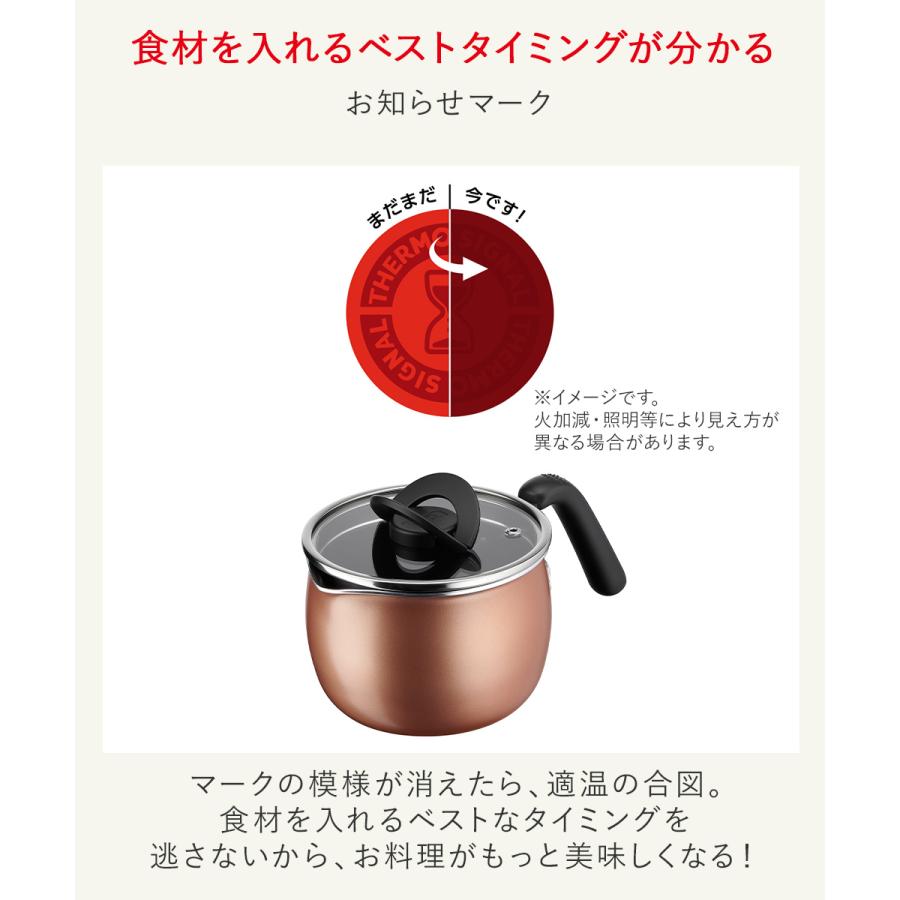 ティファール オプティスペース マルチポット 14cm ガス火専用 A54587