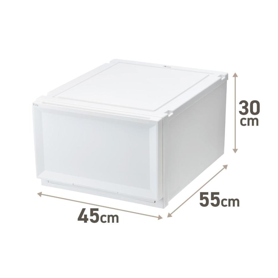 【 通販限定 2個セット 】天馬 収納ボックス フィッツケース アドバンス 幅45×奥行55×高さ30cm Lサイズ | テンマ クローゼット 収納ケース たわみにく |  | 07