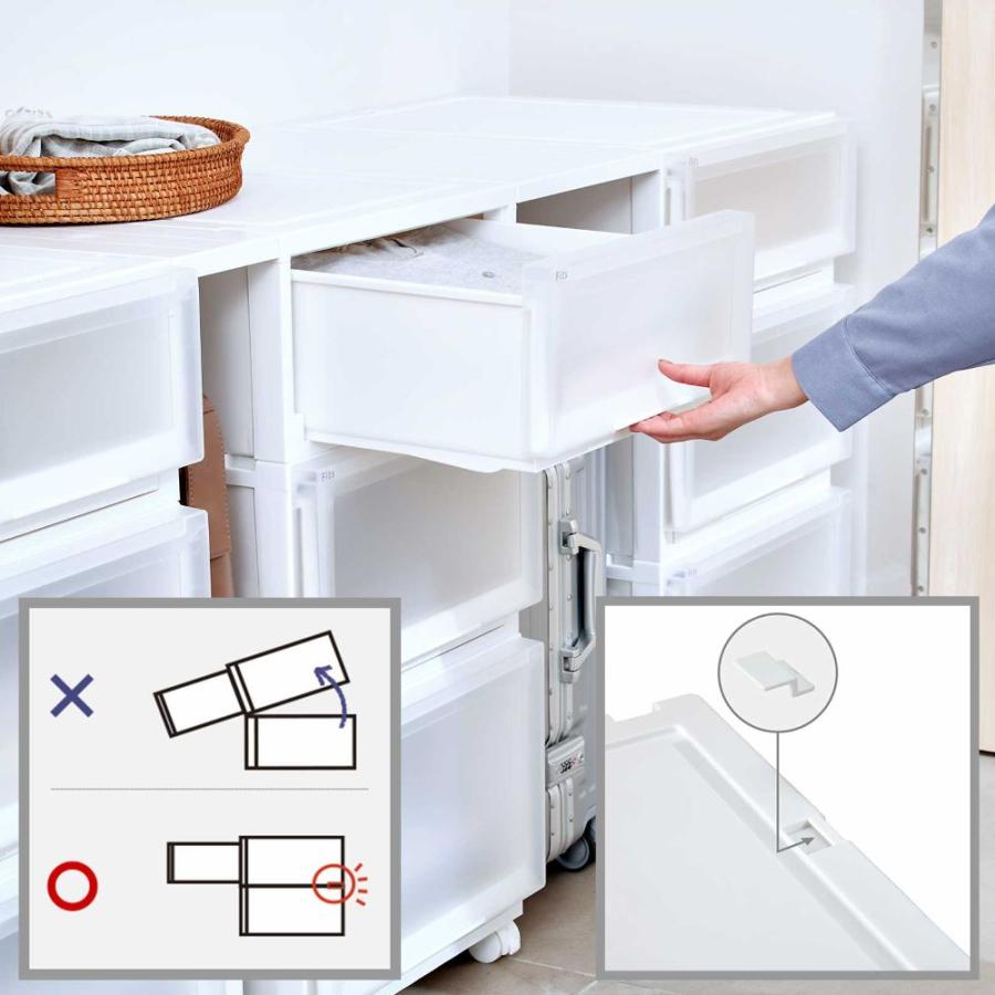 通販限定 2個セット 】天馬 収納ボックス フィッツケース アドバンス