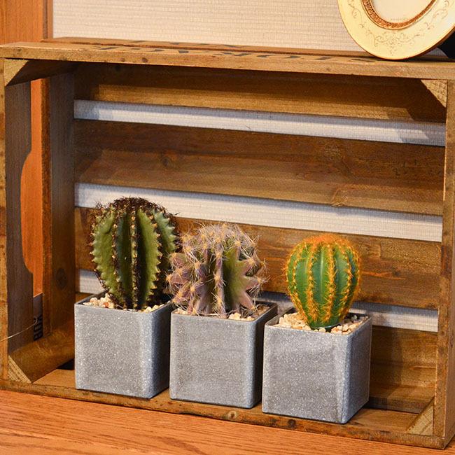 フェイクグリーン スクエアポット 3個セット 観葉植物 卓上 フェイク ミニ 人工観葉植物 造花 サボテン 多肉植物 小さい セメント鉢 インテリアグリーン N132 Set ロイヤル通販 通販 Yahoo ショッピング