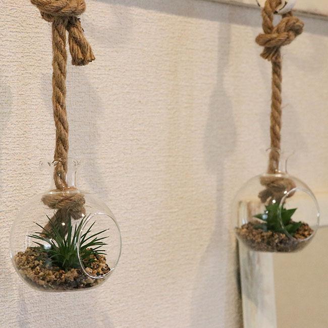 フェイクグリーン テラリウム ハンギング フラスコ 3個セット 観葉植物 壁掛け 壁かけ フェイク ミニ 人工観葉植物 造花 多肉植物 ガラス鉢 小さい インテリア N133 Set ロイヤル通販 通販 Yahoo ショッピング