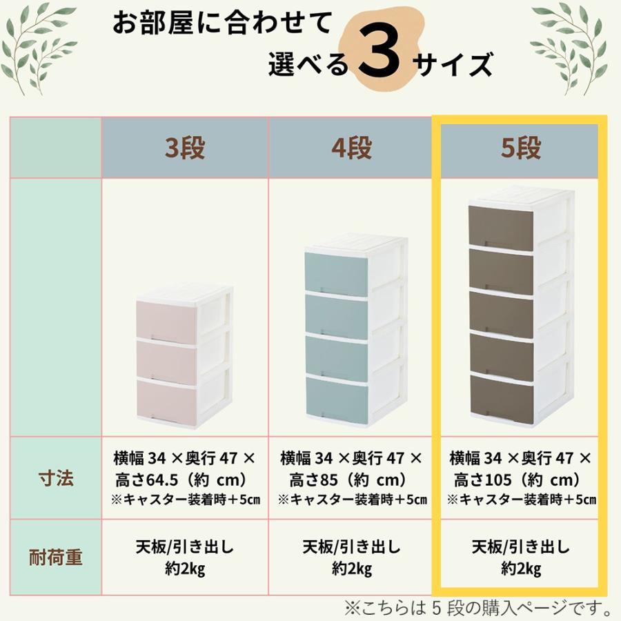 グリーンパル（GREEN PAL） ニューライフスリム 収納ボックス 5段