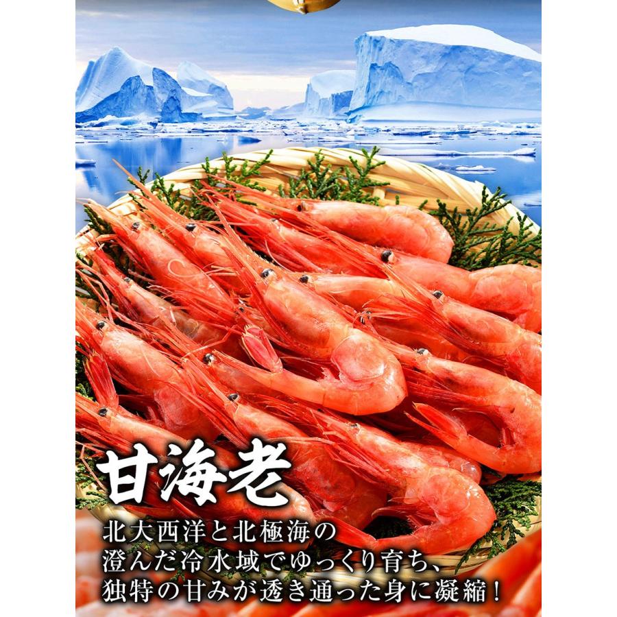 本日限定p10倍 新鮮 尾付き むき甘海老 甘エビ 生むきえび 1袋 50尾 バラ冷凍 海産物 海鮮 刺身 お寿司 お取り寄せ グルメ ロイヤルグリーンランド 通販 Paypayモール