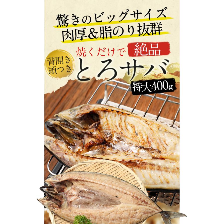 99以上 鯖 切り身 重さ