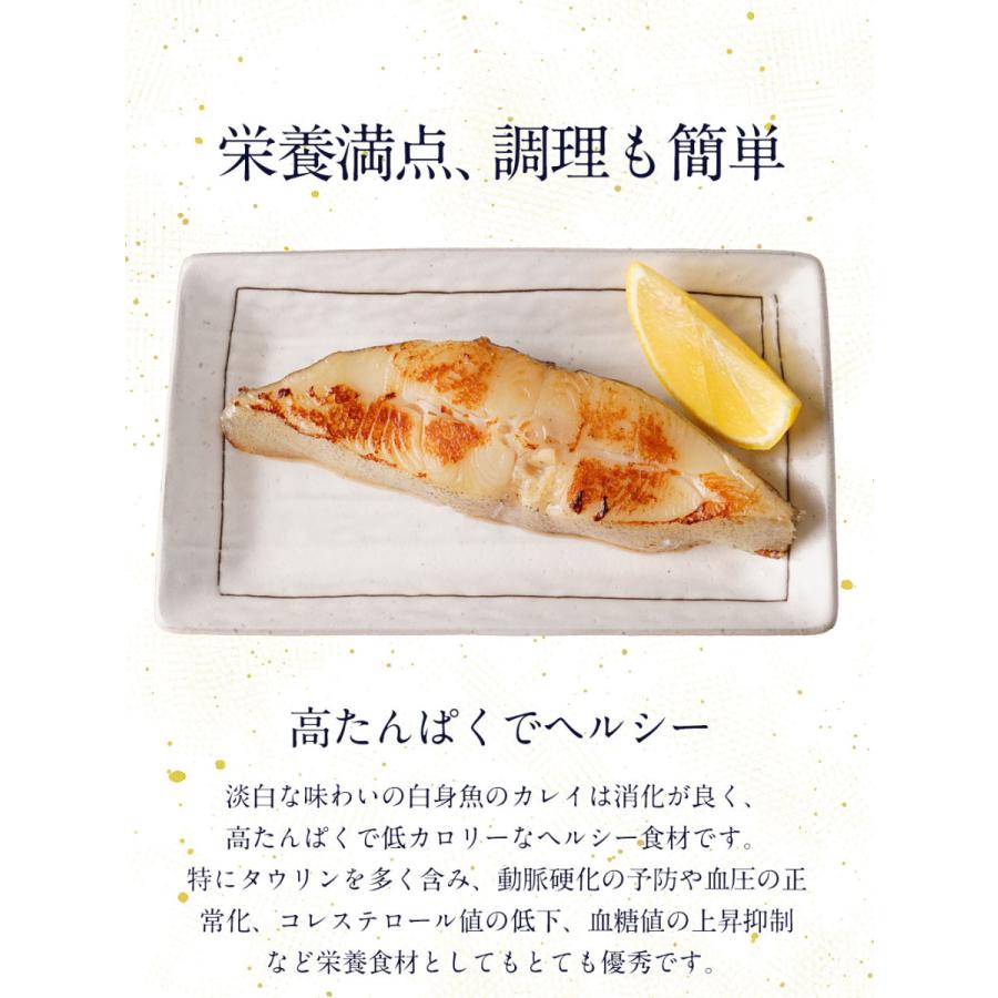 ロイヤルグリーンランド 漬け魚 3種 西京漬け 白醤油漬け 京粕漬け 母の日ギフト お取り寄せ お取り寄せグルメ お買い得 プレゼント お試し 母の日 ギフト カレイ