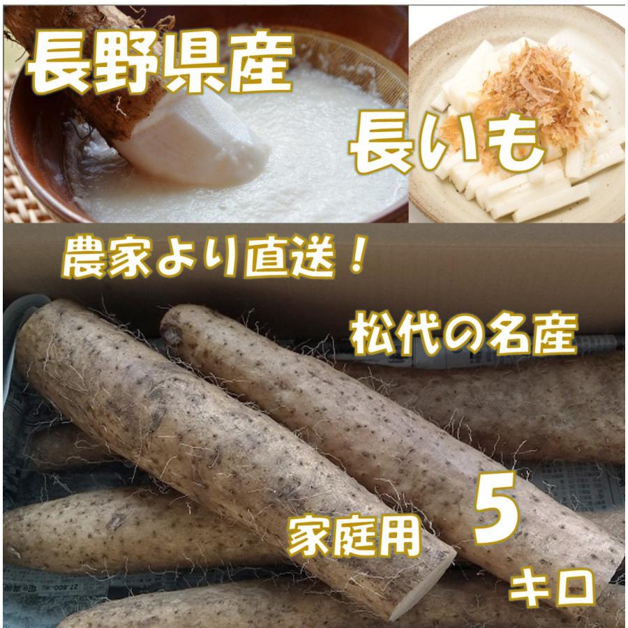 宅配便 クール 農家直送 信州 松代 名産 野菜 長芋 長野県産 長芋 家庭用 5キロ A ロイヤルホテル長野 Yahoo 店 通販 Yahoo ショッピング