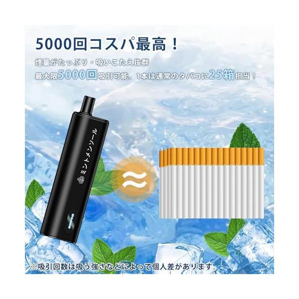 Eonfine 電子タバコ 使い捨て ベイプ 5000回吸引可能 vape タールニコチンゼロ 禁煙グッズ クラシックタバコ｜royalshoping01｜06