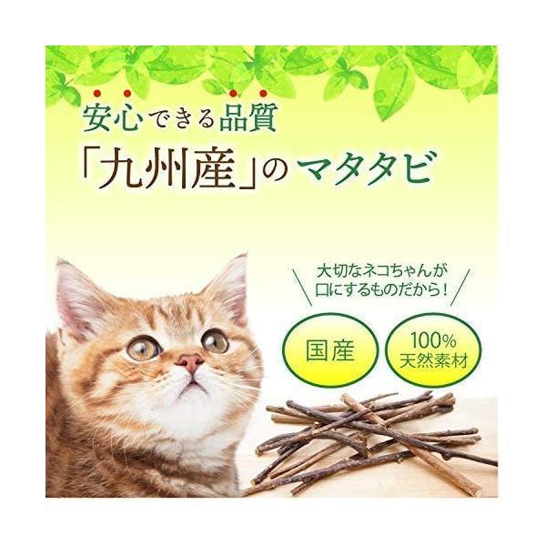 猫用 天然 100％ マタタビ 乾燥 枝 おもちゃ しつけ つめとぎ 無添加 安心 九州産 (10ｇ) (10ｇ)｜royalshoping01｜02