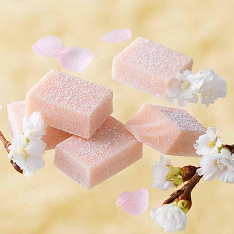 ロイズ 公式 ROYCE’ 期間数量限定 生チョコレート[桜フロマージュ] スイーツ お菓子 ギフト プチギフト ポイント利用 | ROYCE' | 01
