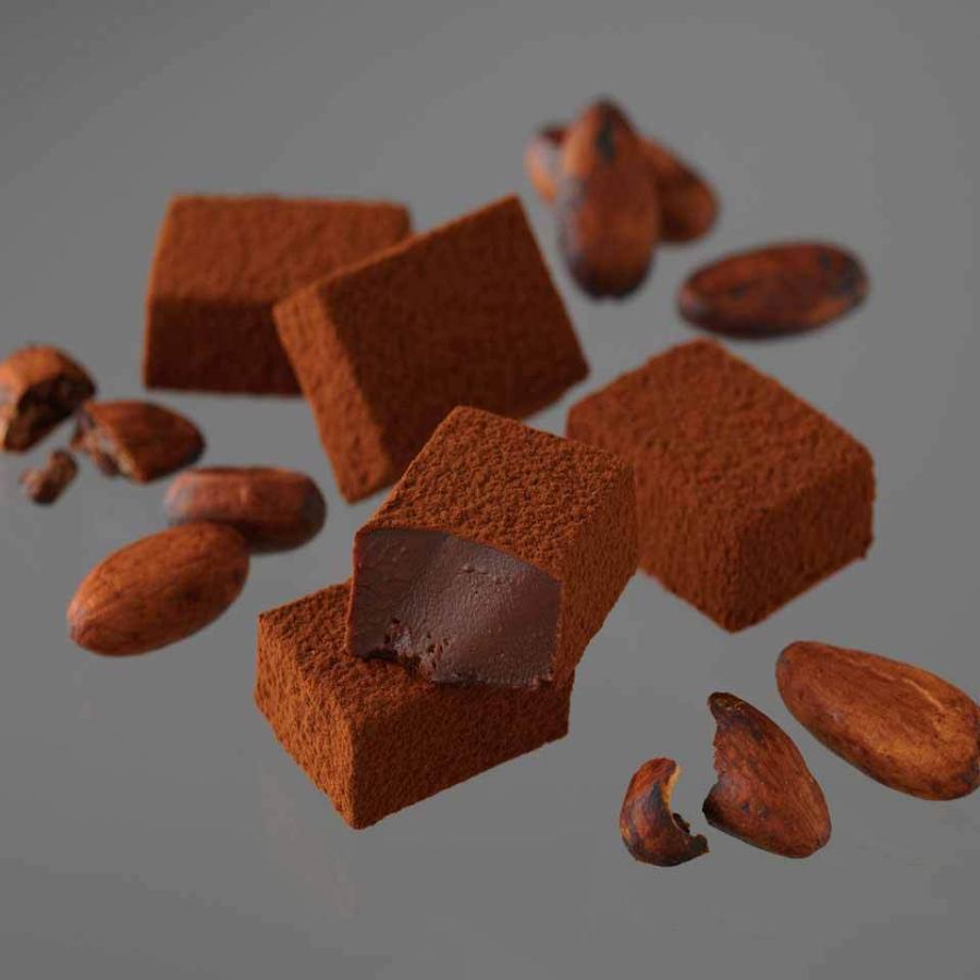 バレンタイン 2026 ロイズ 公式 ROYCE’ 生チョコレート[ガーナビター] スイーツ お菓子 プチギフト ポイント利用 | ROYCE' | 02