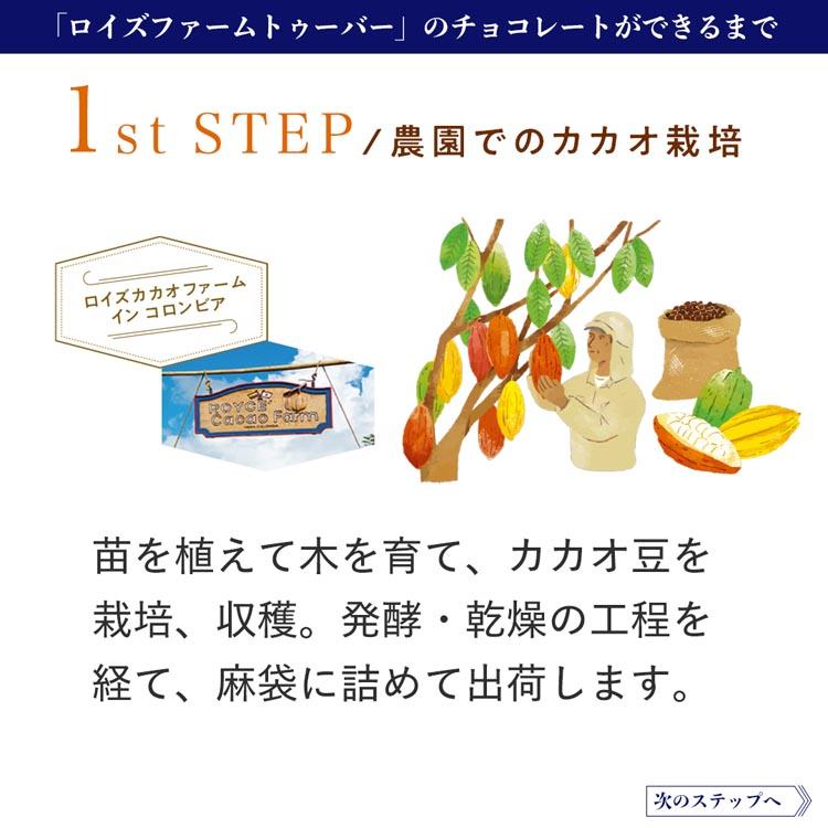 ロイズ 公式 ROYCE' 期間数量限定 生チョコレート[ロイズファームトゥーバー] スイーツ お菓子 ギフト プチギフト ポイント利用 | ROYCE' | 04