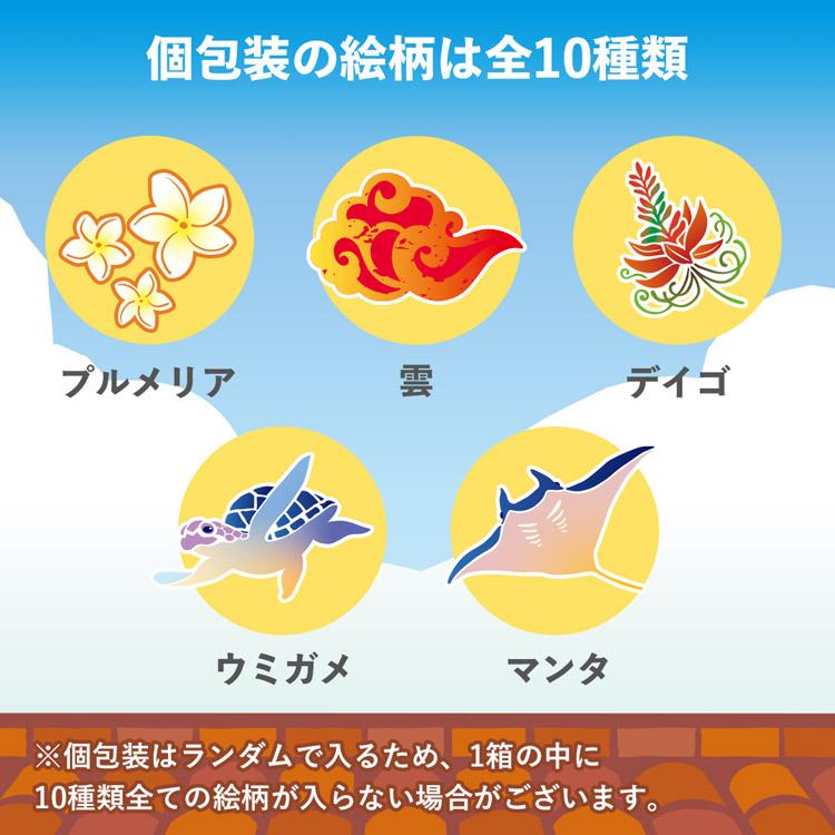 ロイズ公式 ROYCE’ 大容量 360g(72枚程度)入り ロイズ石垣島 黒糖チョコレート[バリューボックス] ポイント利用 | ROYCE' | 04