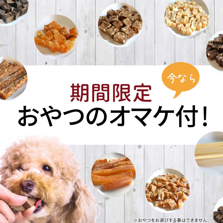 犬 おやつ 無添加 鹿の角 ガム どっぐふーどる 国産 鹿角 鹿 角 歯石取り おもちゃ 小型犬 天然 犬のおやつ 犬用 ツノ 犬用品 ストレス解消 歯みがき 21 0004 雑貨とペット用品どっぐふーどる 通販 Yahoo ショッピング