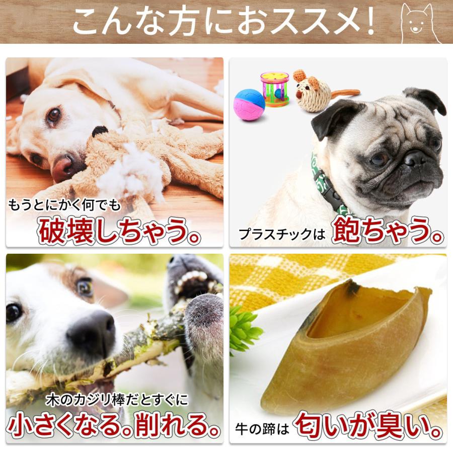 送料無料 鹿の角 ガム 犬 おやつ 無添加 国産 鹿角 おもちゃ デンタルケア 犬のおやつ 歯石 犬のガム 犬用ガム 犬用 歯磨きガム 鹿 角 歯みがき 21 0005 雑貨とペット用品どっぐふーどる 通販 Yahoo ショッピング