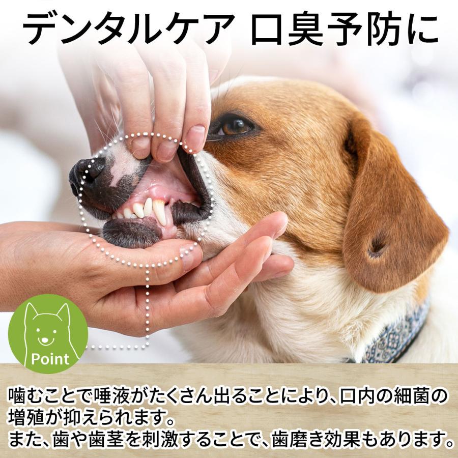 送料無料 鹿の角 ガム 犬 おやつ 無添加