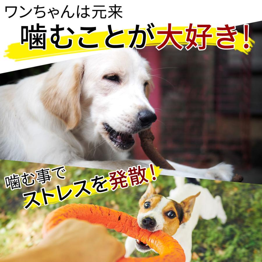 鹿角 犬 無添加 おやつ 国産 鹿の角 大型犬 犬用ガム おもちゃ ガム デンタルケア 犬のおやつ 歯石 犬のガム 犬用 歯磨きガム 鹿 角 歯みがき｜rozaliss｜03