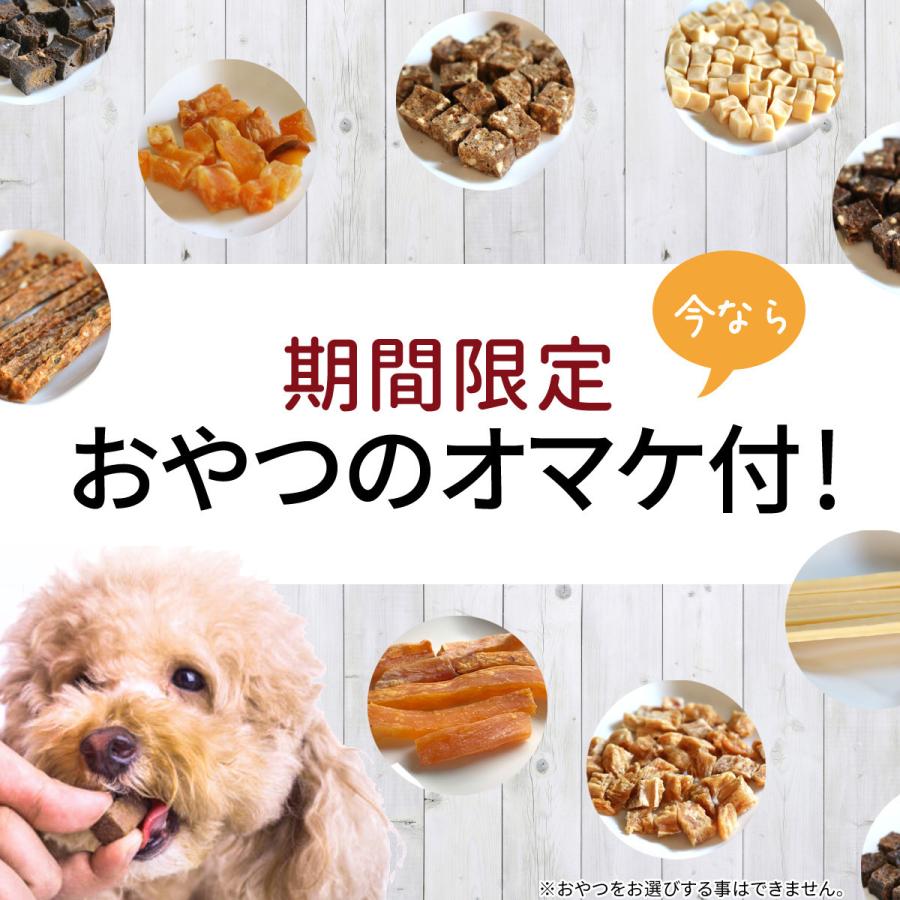 中袋 選べる2個 犬 おやつ 国産 無添加 おやつセット 手作り ドッグフード ギフト さつまいも 鹿肉 魚 ささみ 犬用 猫 犬おやつ 低脂肪｜rozaliss｜11