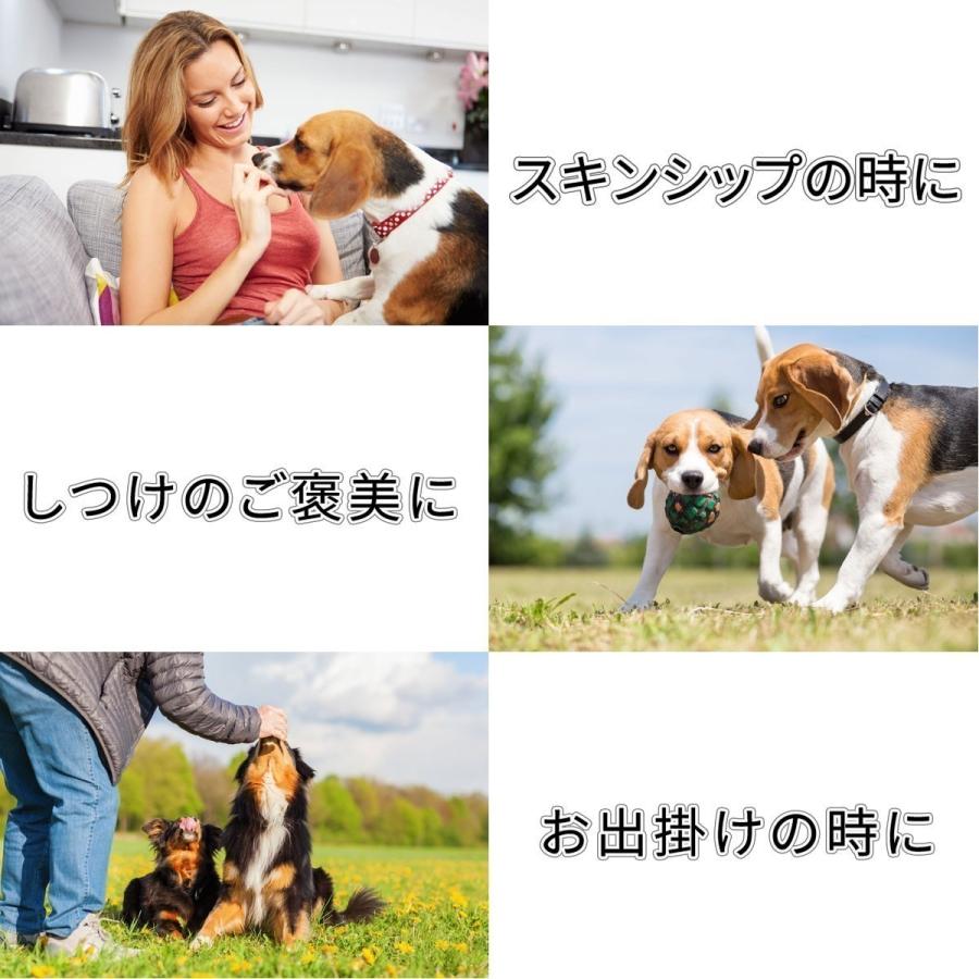 中袋 選べる2個 犬 おやつ 国産 無添加 おやつセット 手作り ドッグフード ギフト さつまいも 鹿肉 魚 ささみ 犬用 猫 犬おやつ 低脂肪｜rozaliss｜03