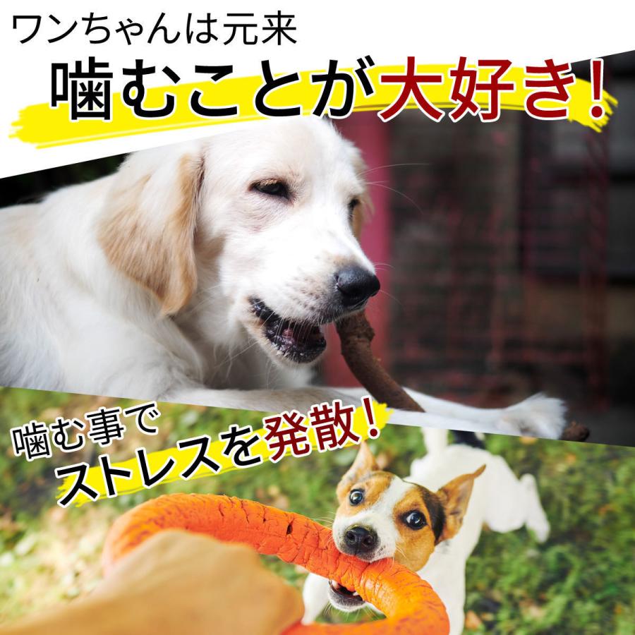 鳥取県産 鹿肉 付き スペアリブ 60g 犬 おやつ 無添加 国産 ジャーキー 