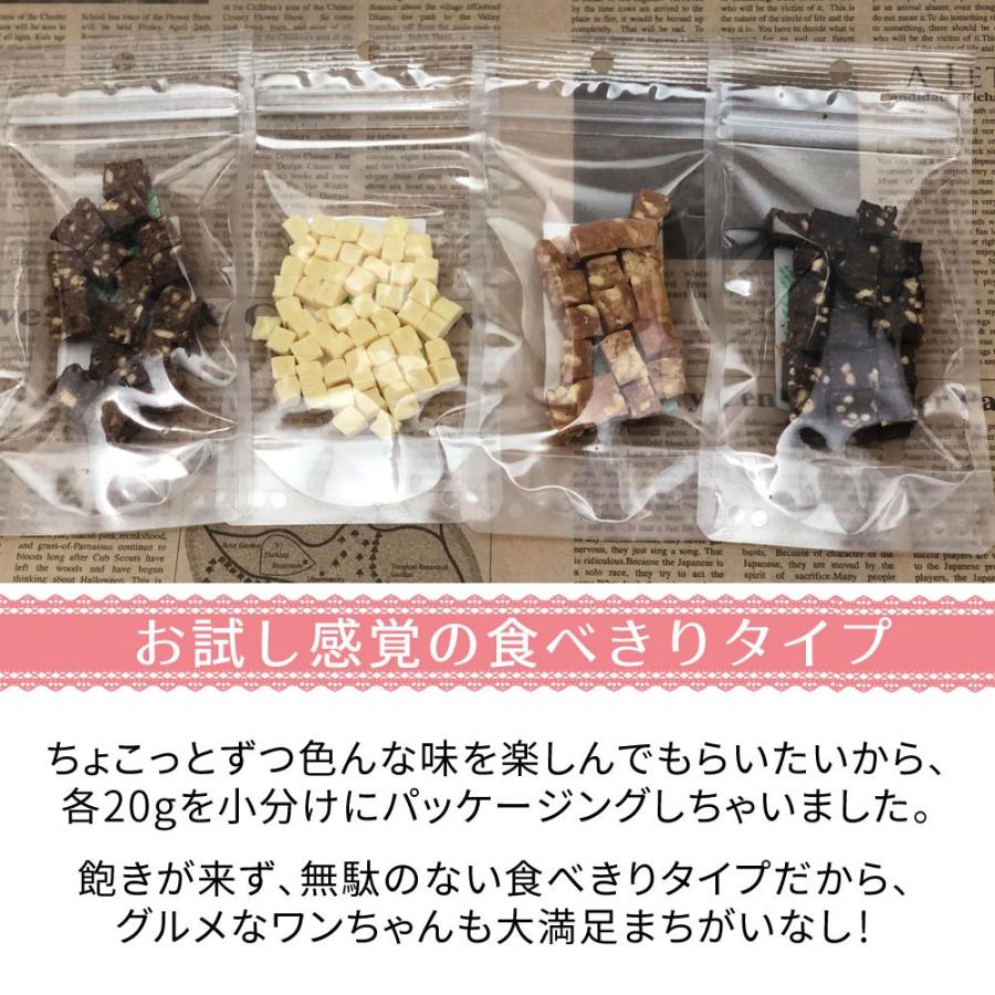 2つの味わい 犬 おやつ 無添加 国産 キューブ 食べきり セット ささみ