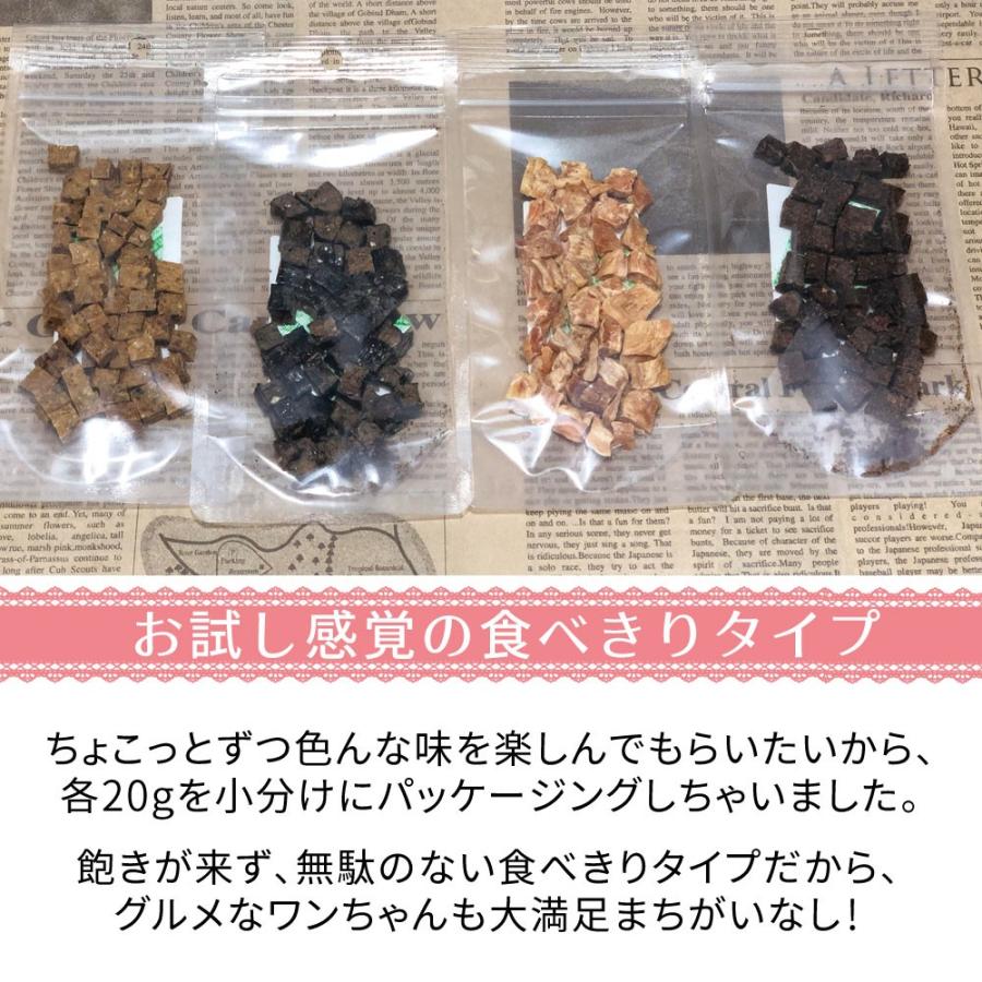 犬 おやつ 無添加 国産 小粒キューブ 食べきりサイズ セット まぐろ 牛