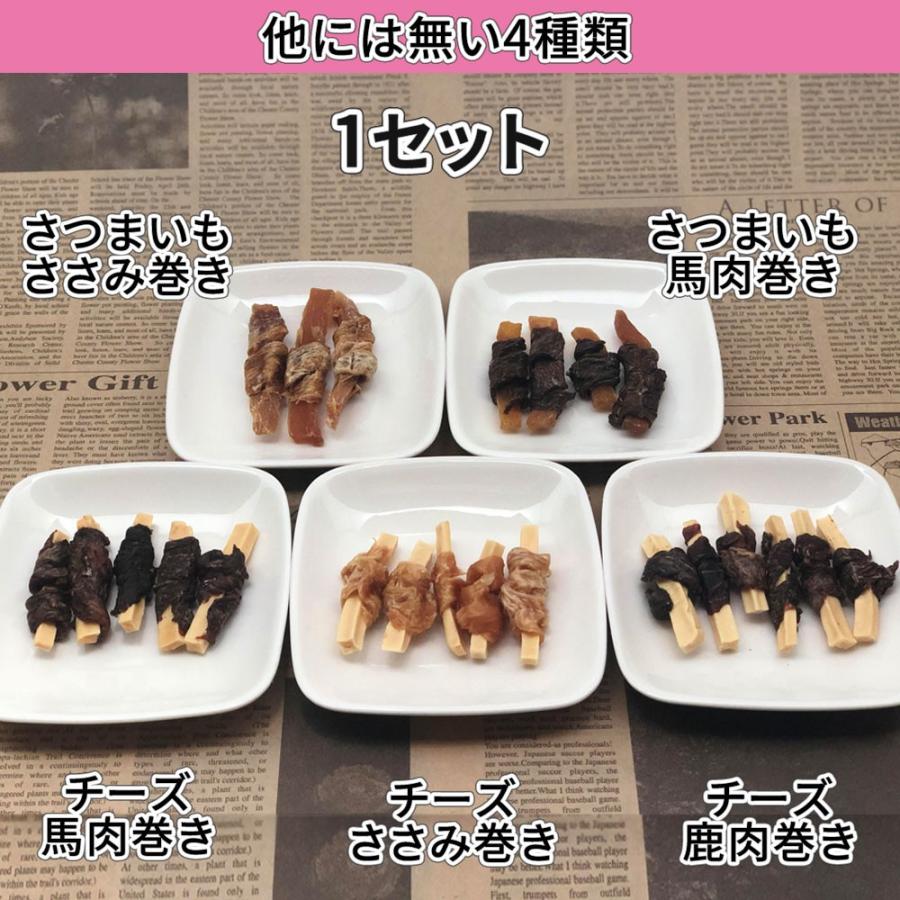 犬 おやつ 無添加 国産 2つの味わい 食べきりサイズ セット ささみ