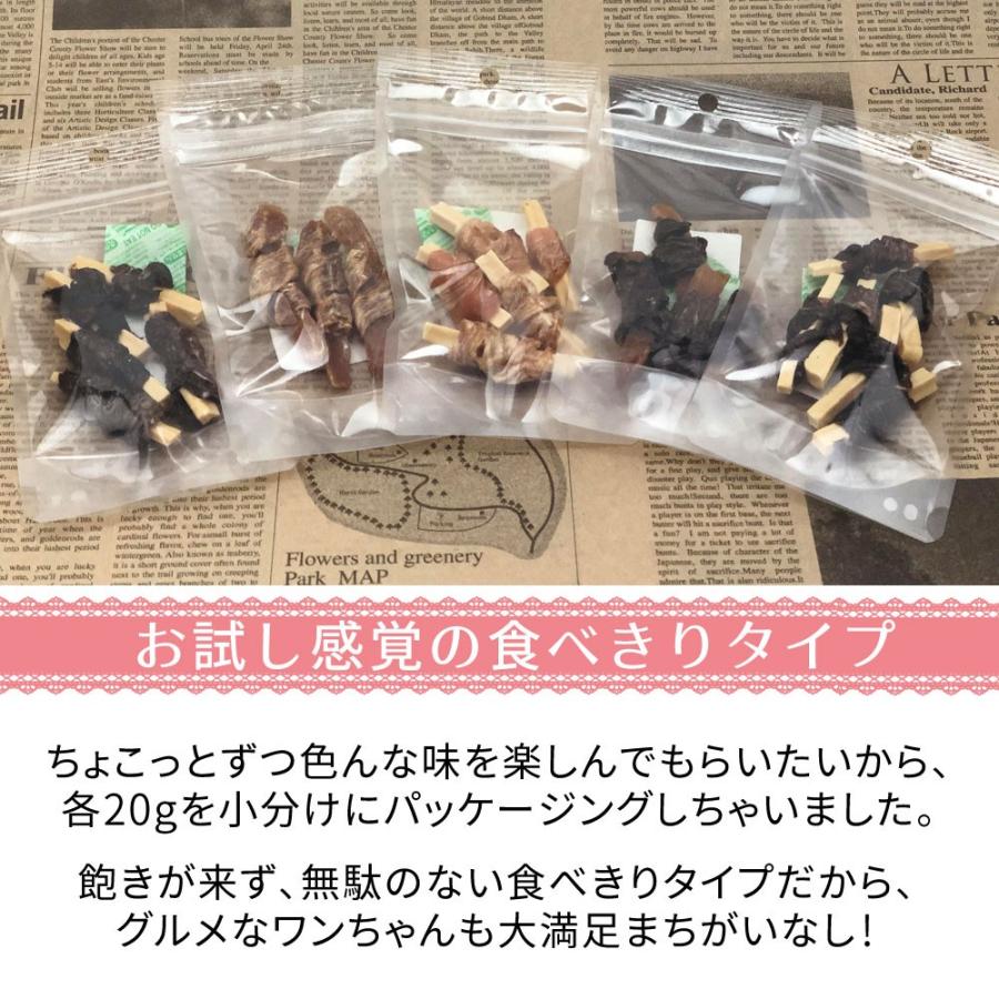 犬 おやつ 無添加 国産 2つの味わい 食べきりサイズ セット ささみ