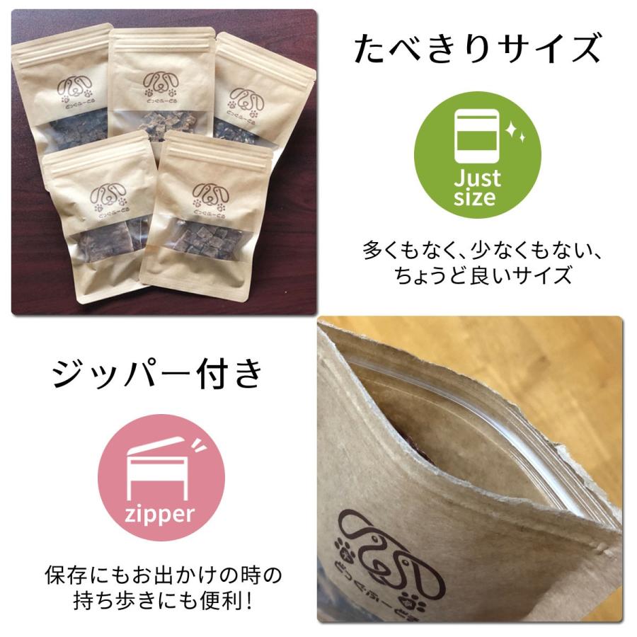 犬 おやつ 無添加 選べる5個セット どっぐふーどる 国産