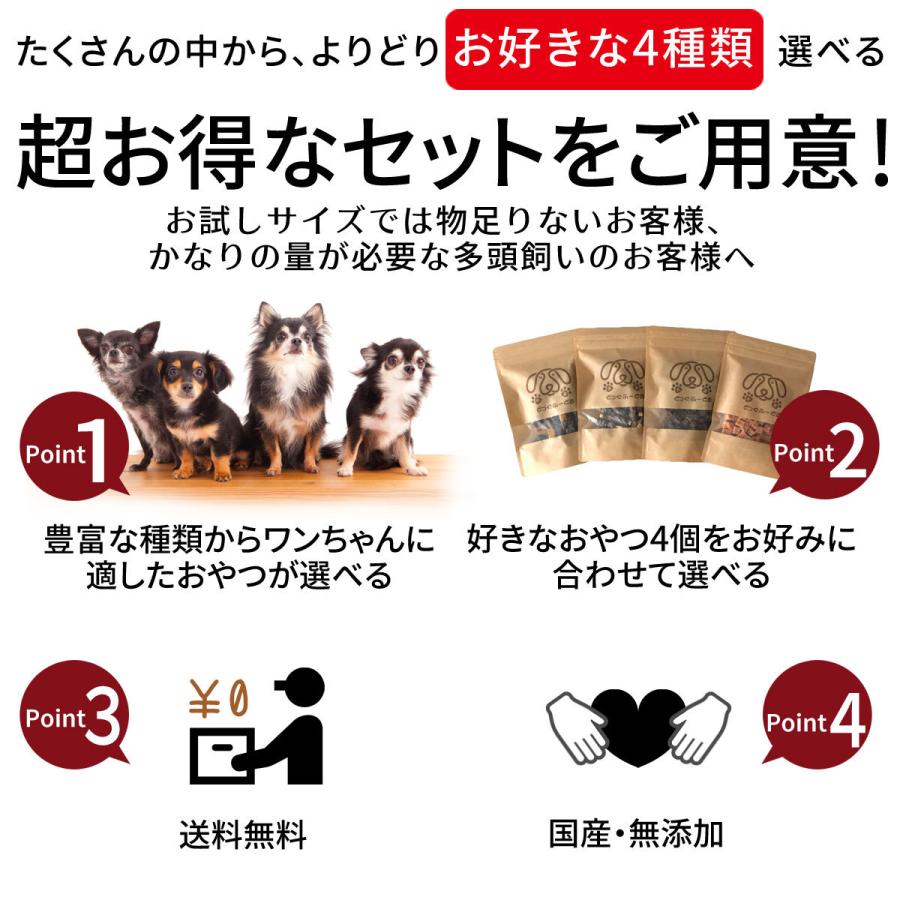 犬 おやつ 無添加 国産 お得 4個セット ギフト 詰め合わせ 手作り ドッグフード 低脂肪 まぐろ 鮭 魚 鹿肉 馬肉 鶏 ささみ ジャーキー チーズ｜rozaliss｜02