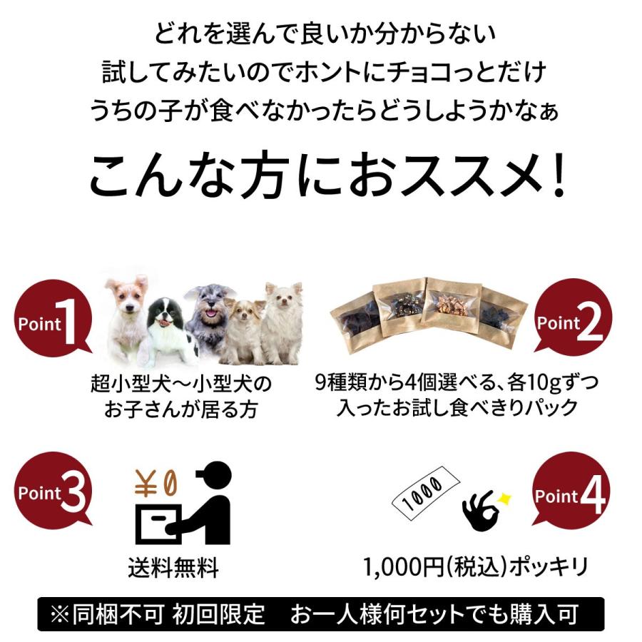 お試し 超小袋 犬 おやつ 無添加 国産 4個セット 鹿肉 ササミ ジャーキー チーズ 魚 犬おやつ 犬用 オヤツ 犬用品 アレルギー ギフト｜rozaliss｜02