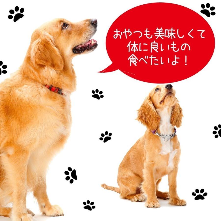 お試し 超小袋 犬 おやつ 無添加 国産 4個セット 鹿肉 ササミ ジャーキー チーズ 魚 犬おやつ 犬用 オヤツ 犬用品 アレルギー ギフト｜rozaliss｜10