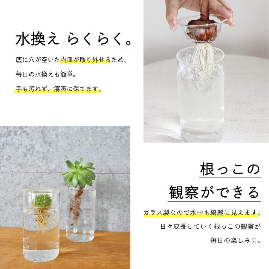 SPICE OF LIFE(スパイス) 水替えしやすい 水栽培ガラスベース 花瓶 BULB VASE バルブベース クリア ロング 直径8cm 高さ｜rozeostore｜03