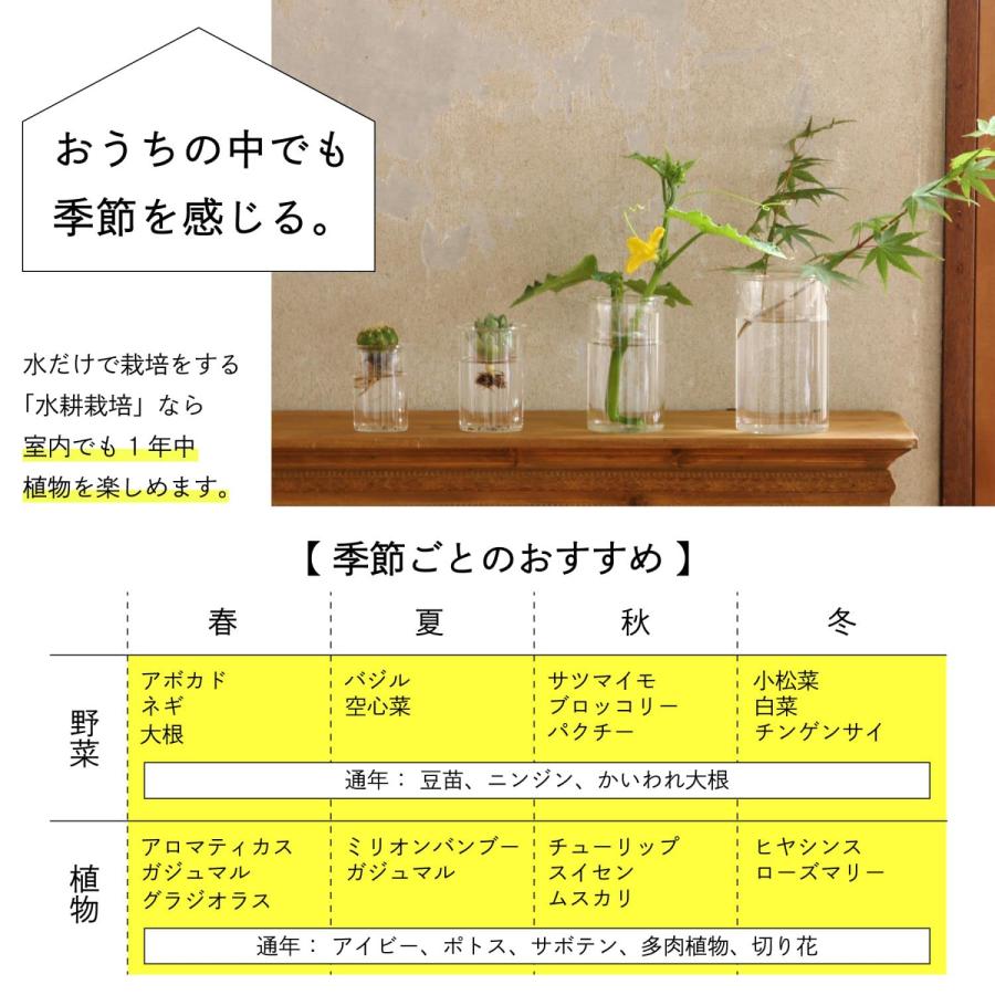 SPICE OF LIFE(スパイス) 水替えしやすい 水栽培ガラスベース 花瓶 BULB VASE バルブベース クリア ロング 直径8cm 高さ｜rozeostore｜07