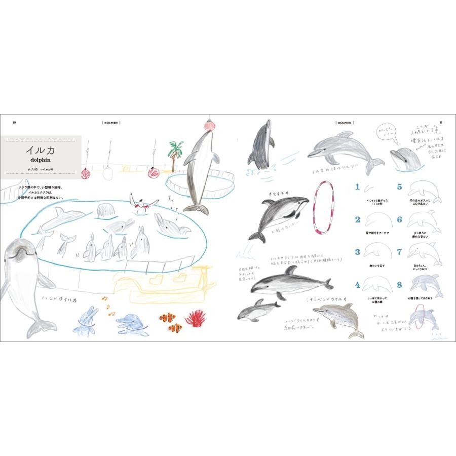 サイン本 ミヤタチカのお絵描き水族館 ミヤタチカ｜rpmts-tsutayabooks｜02