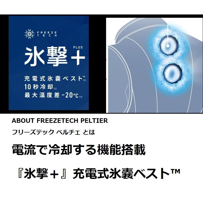 Mサイズ FREEZE TECH ペルチェ 氷撃+ 充電式氷嚢ベスト LIFE STYLE