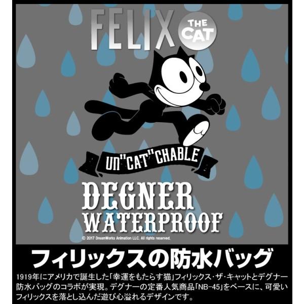 DEGNER（デグナー） NB-45 FELIX フィリックス 防水 3ウェイレイン 