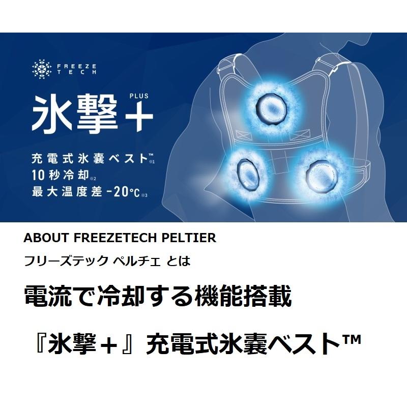 FREEZE TECH ペルチェ 氷撃+ 充電式氷嚢ベスト W001 Blackフリーサイズ LIDEF (2024年モデル) 熱中症対策 バイク ゴルフ 屋外作業｜rpsksp｜03