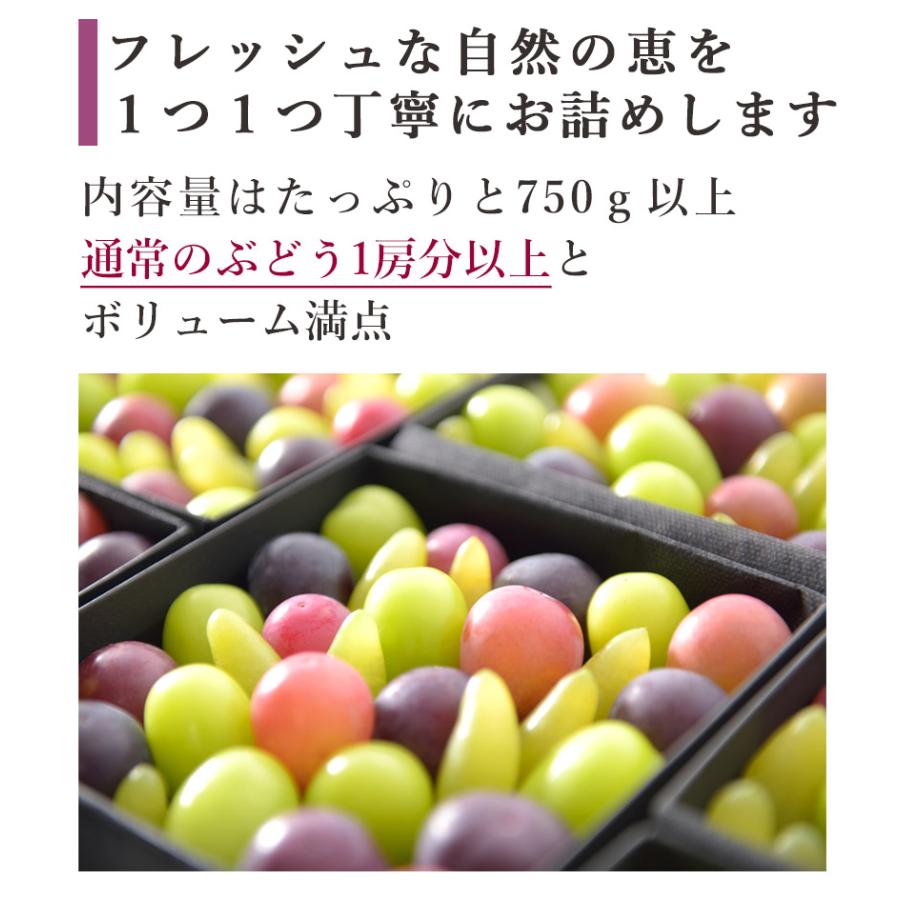 お中元 ぶどうの宝石箱 ヴェレゾンスクエア 贈り物 送料無料 岡山 葡萄 シャインマスカット ピオーネ 桃太郎ぶどう 果物｜rqm2017｜14