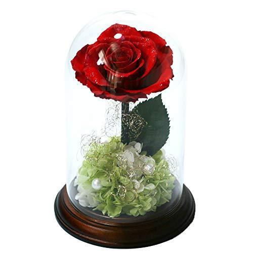 高知インター店 Makefuture プリンセスフルール プリザーブドフラワー ガラスドーム バラ 美女と野獣 プロポーズ ブライトレッド 海外輸入 Kuljic Com