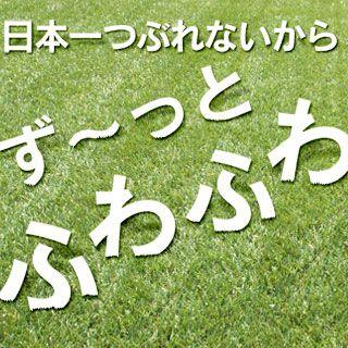 メモリーターフ　人工芝 2m幅 28mm長さ５メートル 人工芝 メモリーターフ 形状記憶 2m × 5m 28mm丈 リアル ロール