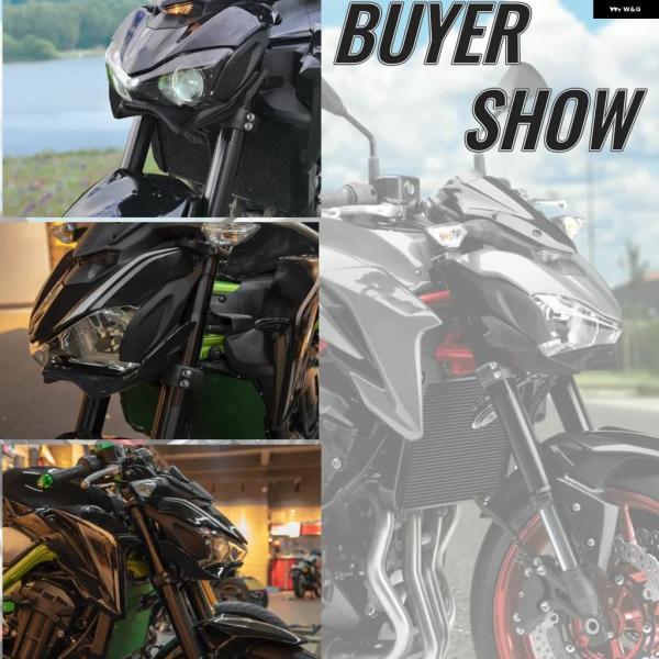 並行輸入品2018 オートバイ アンダーフロント ヘッドライト カバー ビークノーズエクステンション エクステンダー フェアリング カワサキ Z900_4