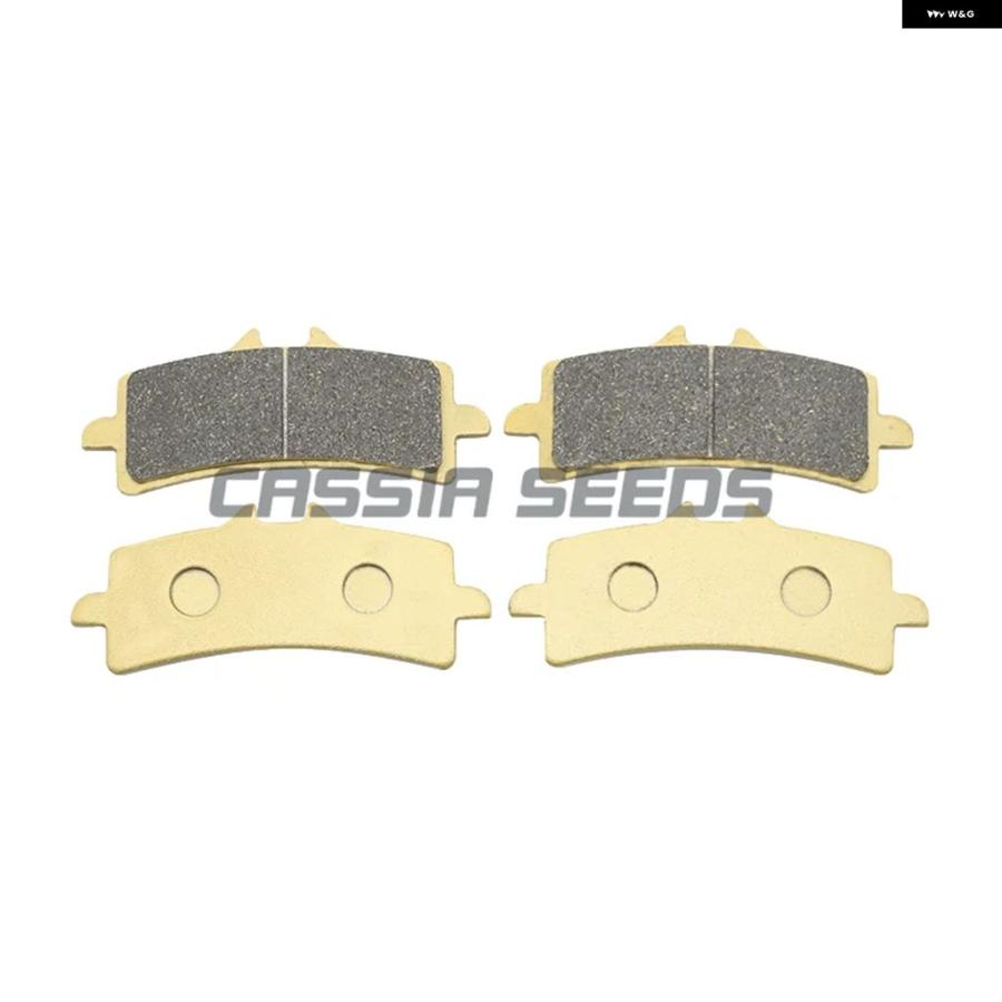 並行輸入品 ドゥカティ オートバイ フロントリアブレーキ パッド 1200 S MONSTER 1299 PANIGALE V4 R SUPER LEGRA 2014-2021 2015-2020 | ブランド登録なし | 05