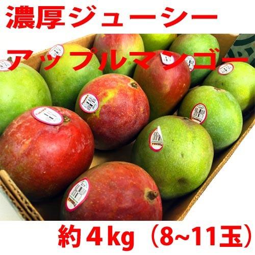 アップルマンゴー 4kg 8 11玉前後 メキシコ産 濃厚 ジューシー フルーツ 果物 生マンゴー ドライマンゴー Mango4 あーるある 通販 Yahoo ショッピング