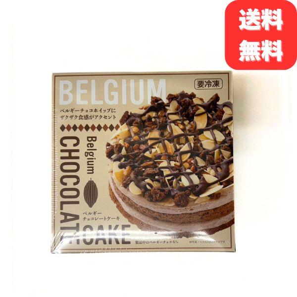 ベルギー チョコレート ケーキ 4号 2〜4人前 冷凍 チョコ クリスマス