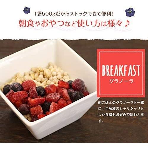 ブルーベリー 500g フルーツ VeryBerry 冷凍 ノースイ 冷凍フルーツ 業務用 大容量｜rs-food5｜06