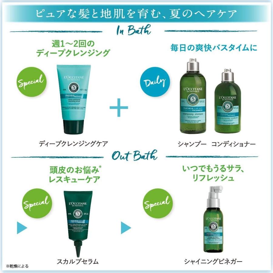 アウトレット送料無料 ロクシタン L Occitane ファイブハーブス ピュアフレッシュネス コンボ シャンプー 500ml コンディショナー 500ml 人気が高い Travelloafer Com