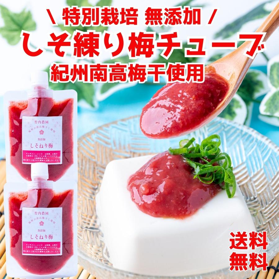竹内農園 しそねり梅 180g 2個 チューブ 塩分約20% ねり梅 練り梅 梅肉
