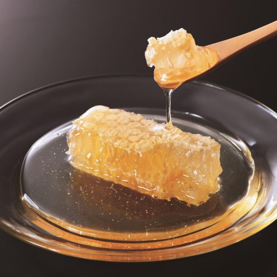 巣蜜 (ハンガリー産) 400g (400g×1個) はちみつ 蜂蜜 蜂の巣